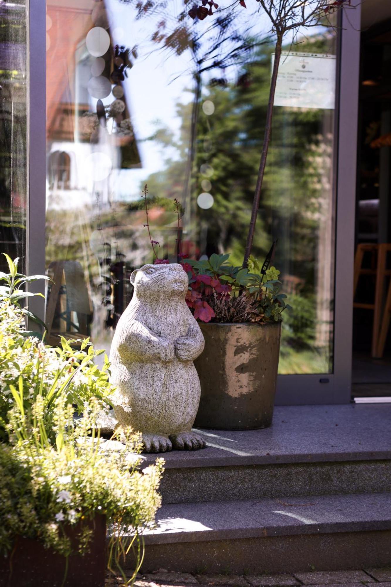 Zur Pfanne - Studio Biberach an der Riß エクステリア 写真